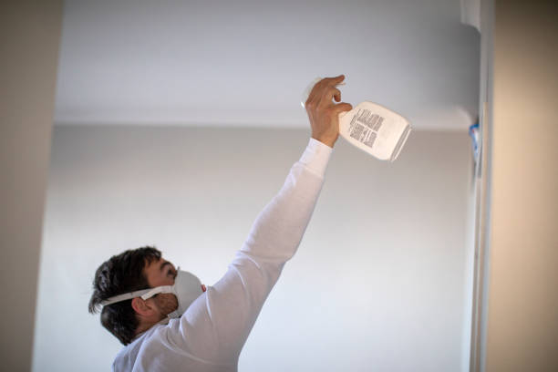 Best Health and Safety Mold Remediation in Templeton, CA