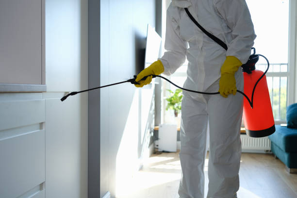 Best Attic Mold Remediation in Templeton, CA